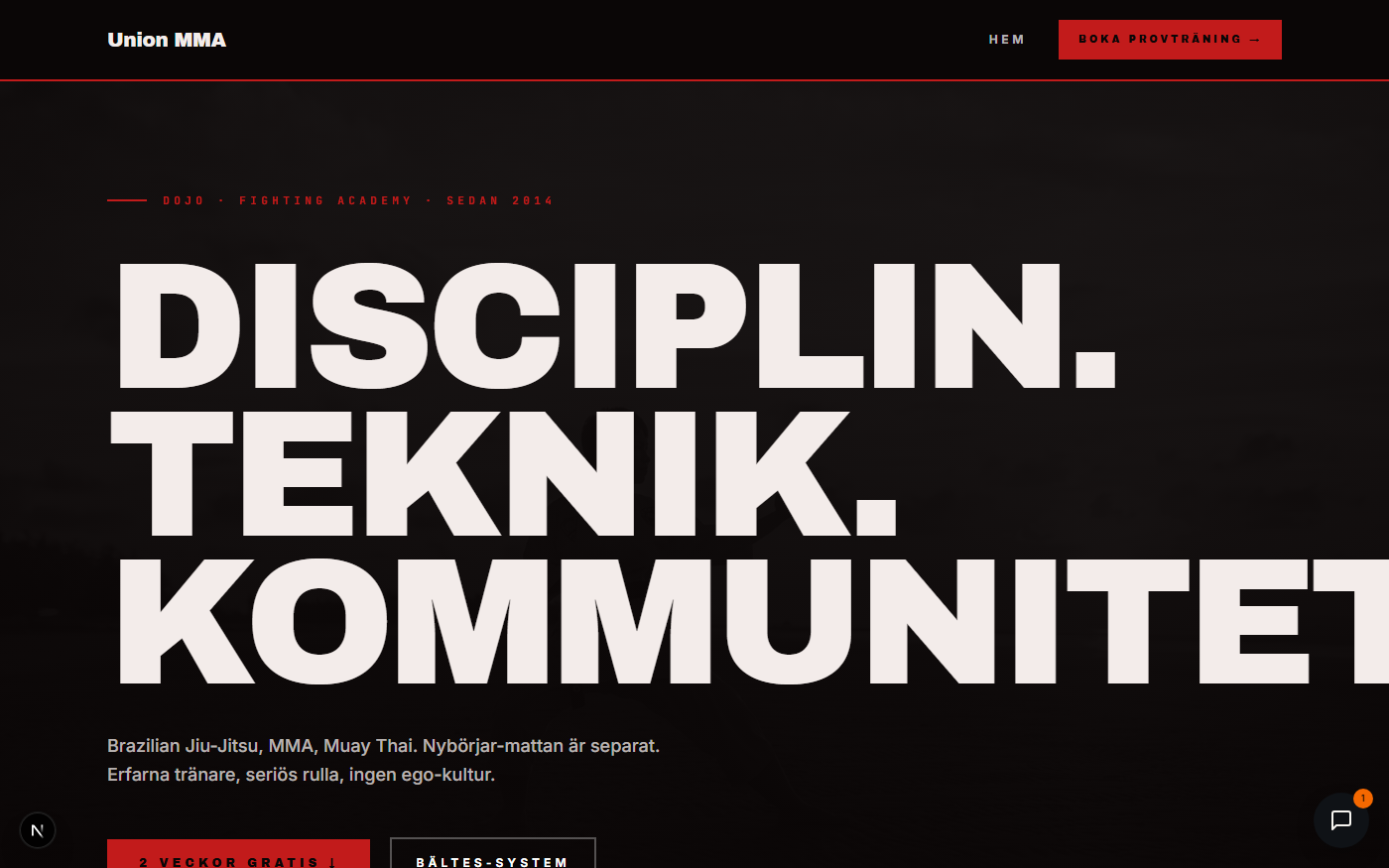 Kampsport / MMA preview